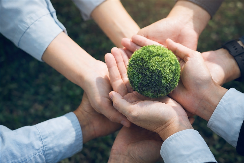 Why Elementra Chemicals