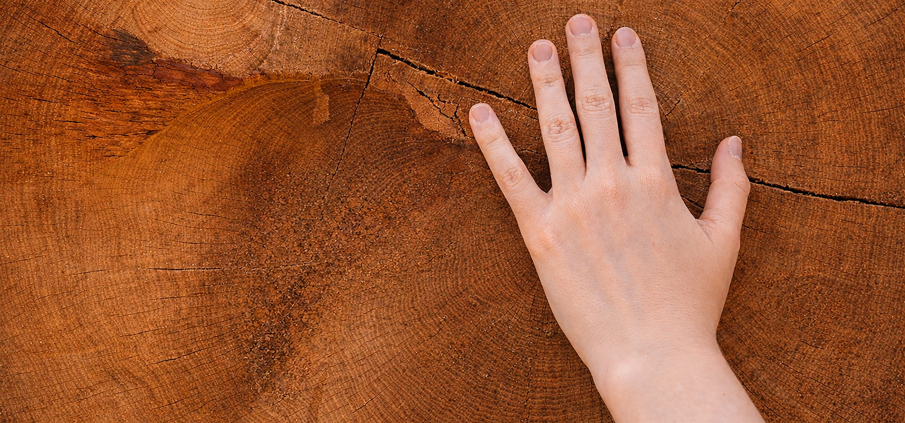 Specialized Supplier & Solutions Provider